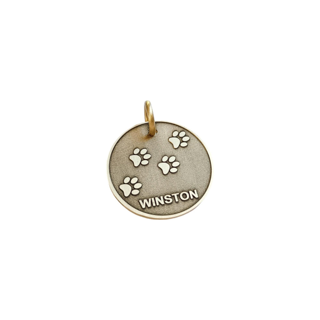 The Wanderlust Paw Token | Artisan Paw Print Pet ID & Custom Engraved Dog Tag, styled view