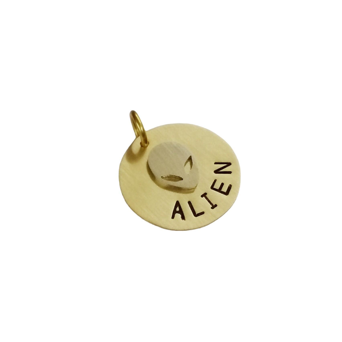 The Cosmic Voyager Token | Artisan Alien Pet ID & Custom Tag, close-up detail
