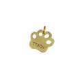 The Companion's Mark | Artisan Paw Print Pet ID & Custom Tag, front view