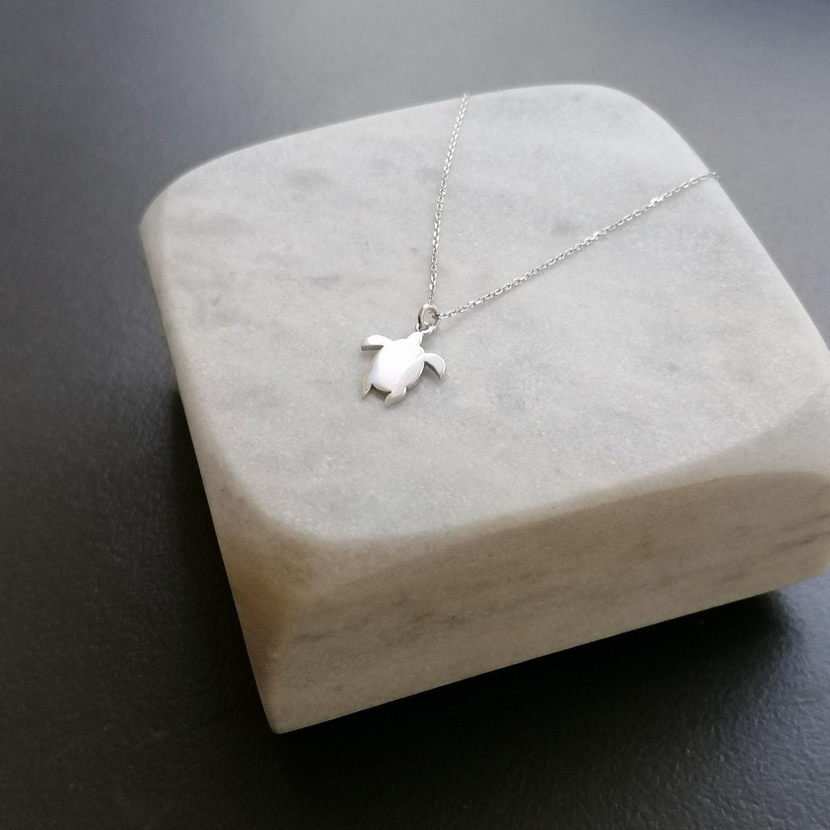 Dainty Turtle Necklace | Ocean Longevity Talisman