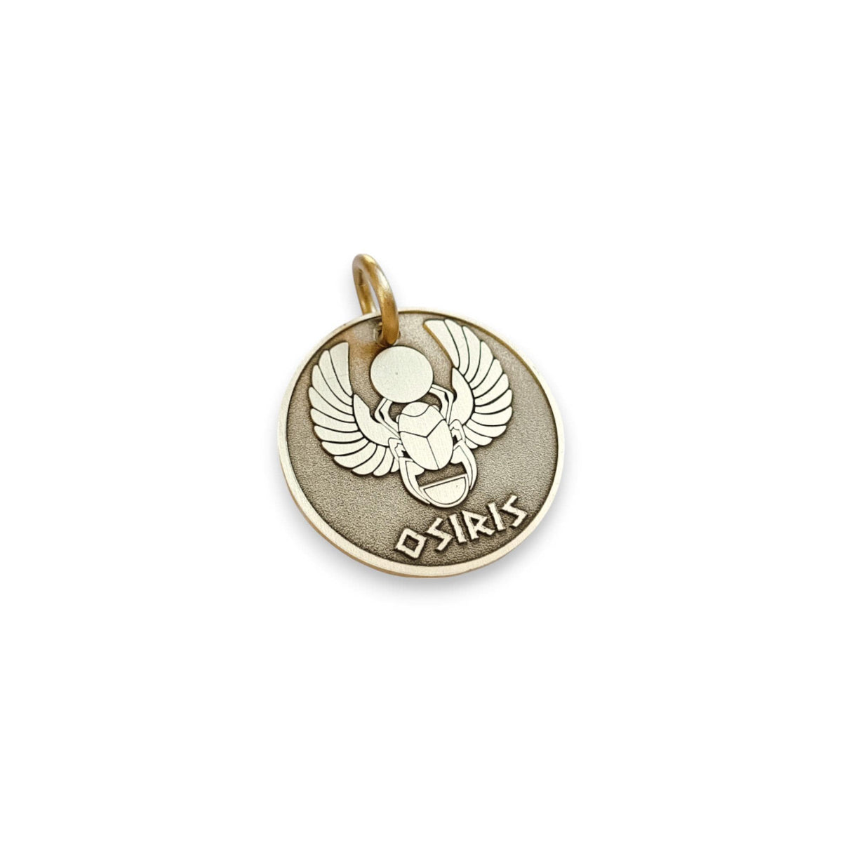The Eternal Guardian Token | Artisan Scarab Pet ID & Custom Engraved Dog Tag, additional detail