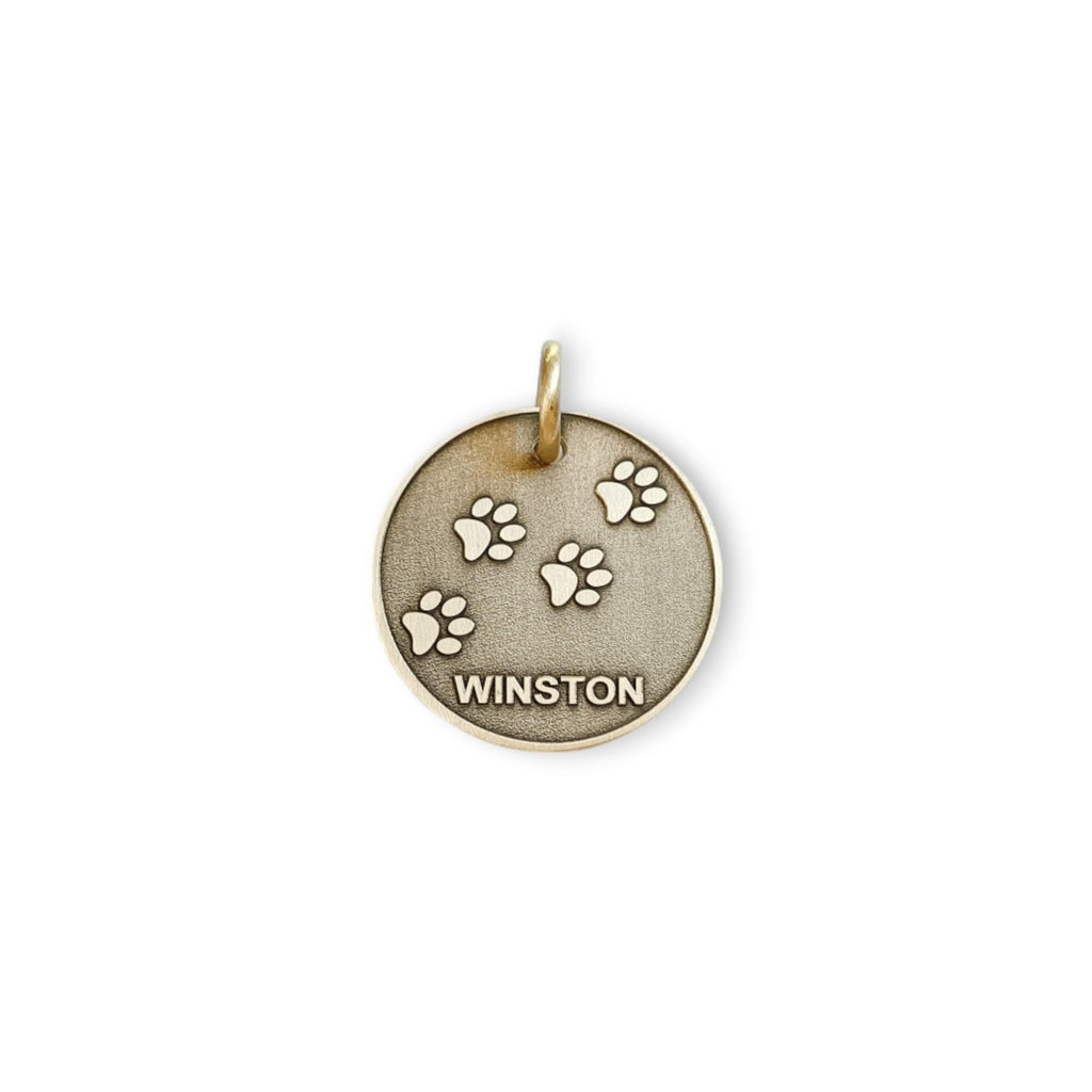 The Wanderlust Paw Token | Artisan Paw Print Pet ID & Custom Engraved Dog Tag, front view