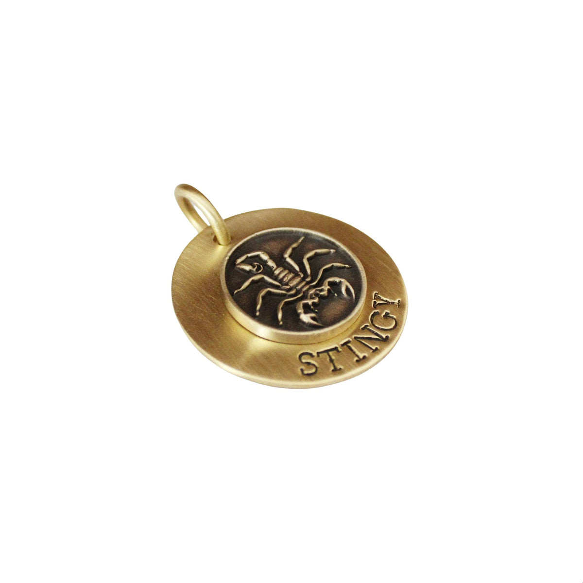 The Stinger Sigil | Artisan Scorpion Pet ID & Custom Engraved Dog Tag, styled view