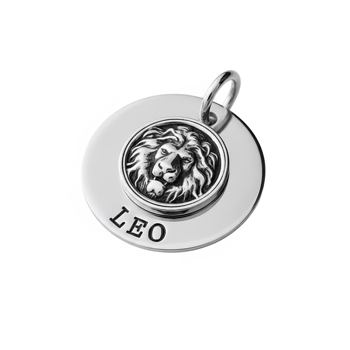 Lion Dog Tag | Custom Engraved Pet ID Collar Charm, alternate angle