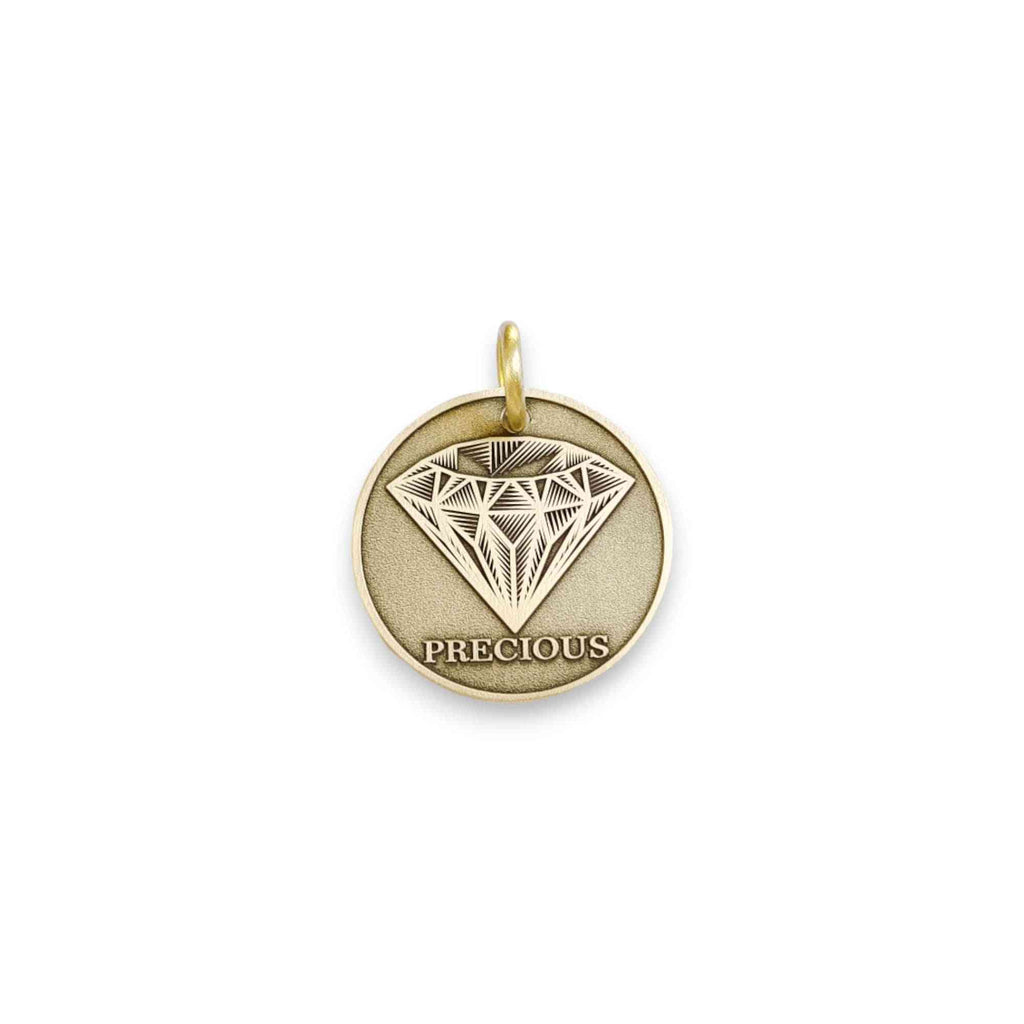 The Brilliance Token | Artisan Diamond Pet ID & Custom Engraved Dog Tag, styled view
