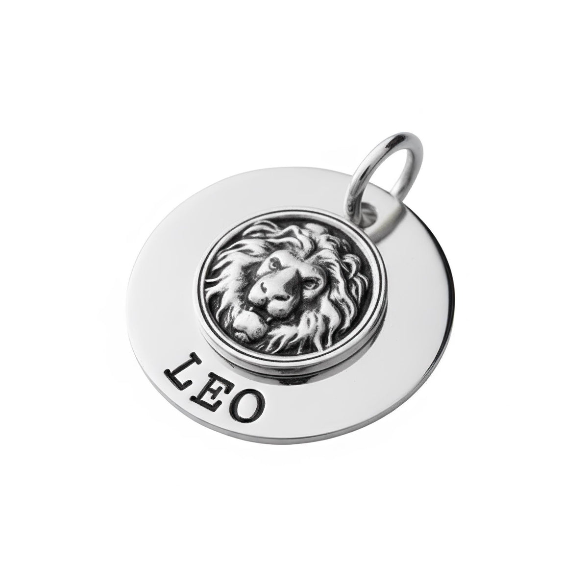 Lion Dog Tag | Custom Engraved Pet ID Collar Charm, front view
