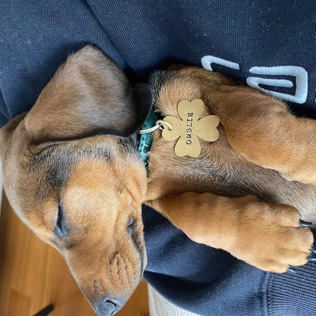 The Fortunate Token | Artisan Clover Pet ID & Custom Dog Tag, close-up detail