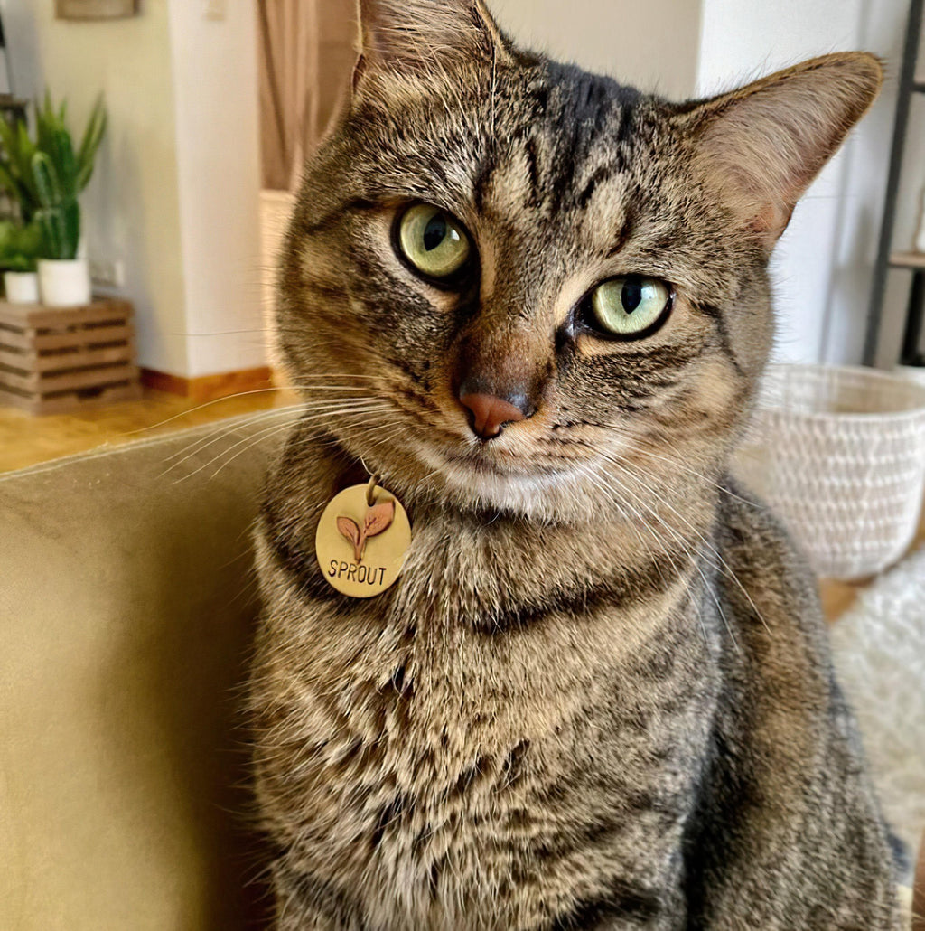 The First Sprout Token | Artisan Sprout Puppy ID & Custom Dog Tag, styled view